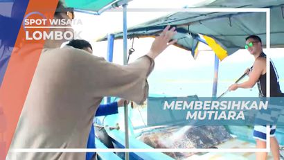 Membersihkan Mutiara Dengan Cara Disemprot, Lombok