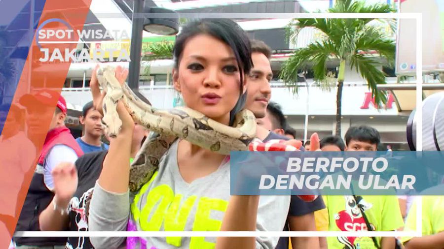 Berfoto Dengan Ular di Kawasan Car Free Day Jakarta