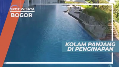 Mempunyai Desain Memanjang, Berenang di Kolam Renang Penginapan Bogor