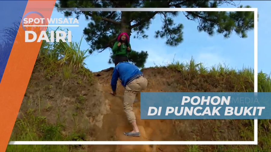 One Tree Hill, Menuju Satu-satunya Pohon di Puncak Bukit, Dairi