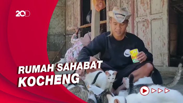 Kisah Cowboy Kucing Dirikan Tempat Penampungan Kucing Liar