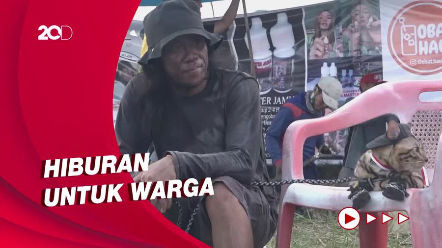 Meriahkan HUT RI, Pria di Polman Kubur Diri Bersama Kucing