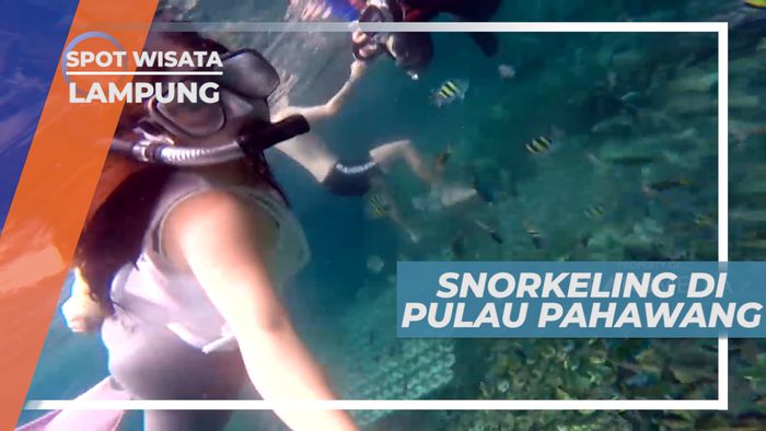 Berenang dan Menyelam Bersama Ikan Kecil Warna-warni di Pulau Pahawang, Lampung