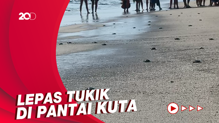 Turis Asing di Bali Sambut Antusias HUT ke-77 RI