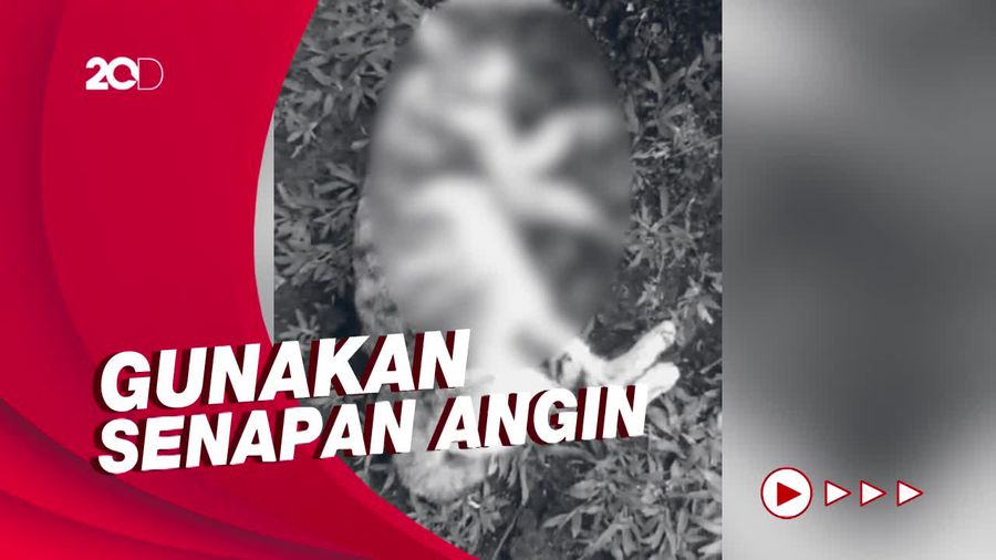 Pelaku Penembakan Kucing di Sesko TNI Ternyata Jenderal Bintang Satu