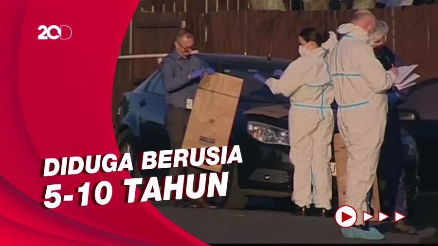 Ngeri! Penemuan Jasad 2 Bocah di Koper Hasil Lelang di Selandia Baru
