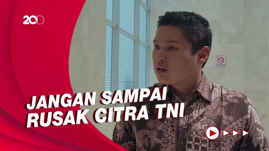 Komisi I Minta TNI Tindak Tegas Brigjen NA Penembak Mati Kucing