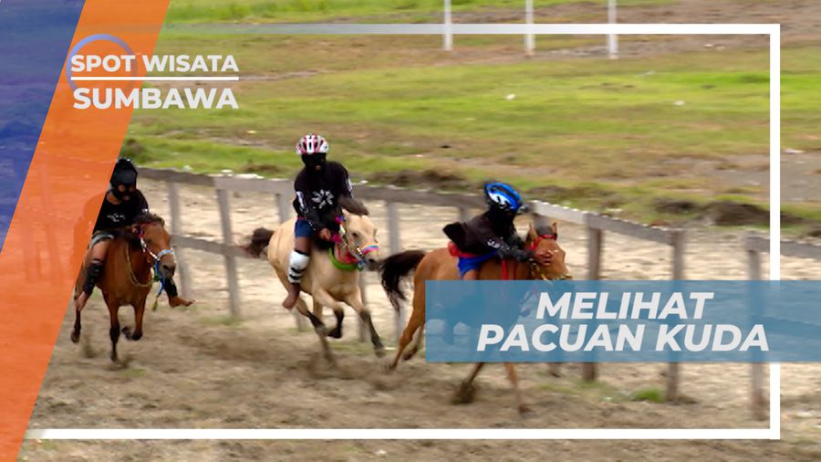 Menyaksikan Serunya Pacuan Kuda di Kawasan Penyaringan, Sumbawa