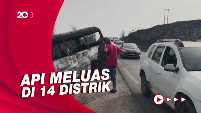 Kebakaran Hutan di Aljazair Tewaskan 26 Orang