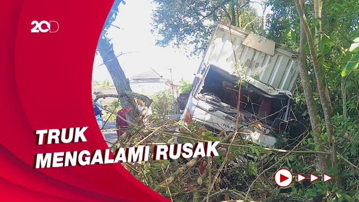 Hindari Kecelakaan, Truk Nyungsep Tabrak Pohon di Jembrana
