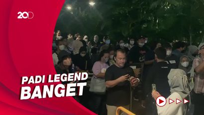 Antusiasme Fans Nonton Konser Padi Reborn