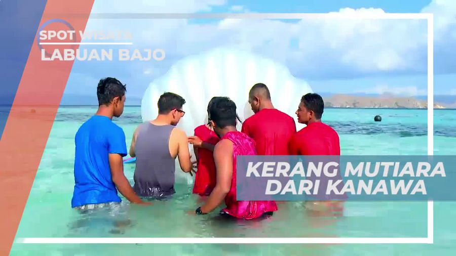 Melihat dari Dekat Kerang Mutiara Pulau Kanawa Labuan Bajo