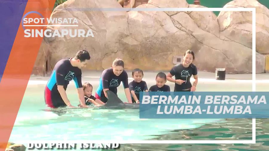Dolphin Island, Wahana Untuk Berinteraksi Langsung Dengan Lumba-lumba, Singapura