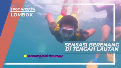 Sensasi Berenang di Tengah Lautan Nusa Tenggara Barat