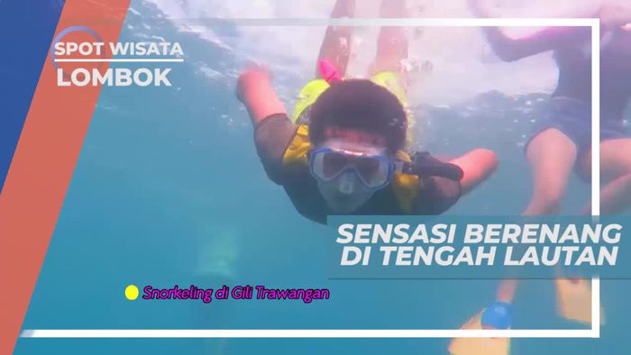 Sensasi Berenang di Tengah Lautan Nusa Tenggara Barat