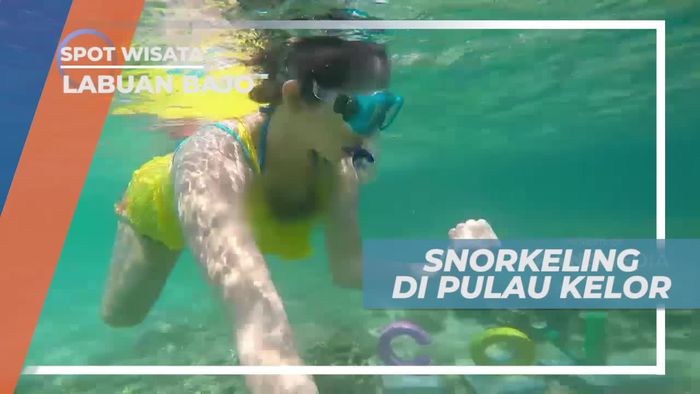 Snorkeling Menikmati Keindahan Bawah Laut Pulau Kelor Labuan Bajo