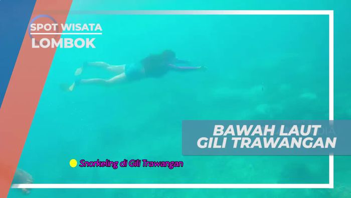 Snorkeling Menikmati Keindahan Bawah Laut Gili Trawangan Lombok