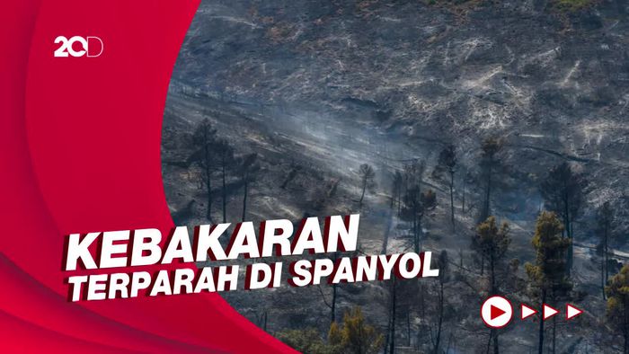 Setelah Kebakaran Hutan di Spanyol Mereda