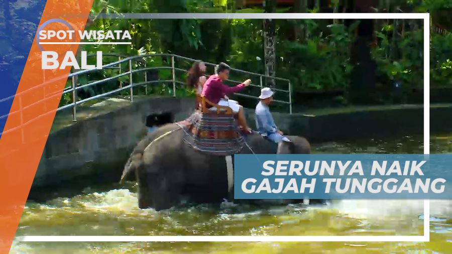 Safari Elephant Park, Serunya Menunggang Gajah Melewati Kubangan Air, Bali