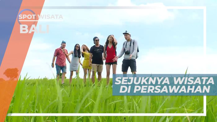 Menikmati Sejuk Segar Udara di Area Persawahan yang Alami, Bali