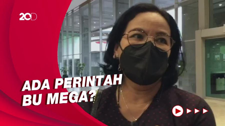 Dukungan Puan Jadi Presiden Santer di Parlemen, Legislator PDIP Ungkap Ini
