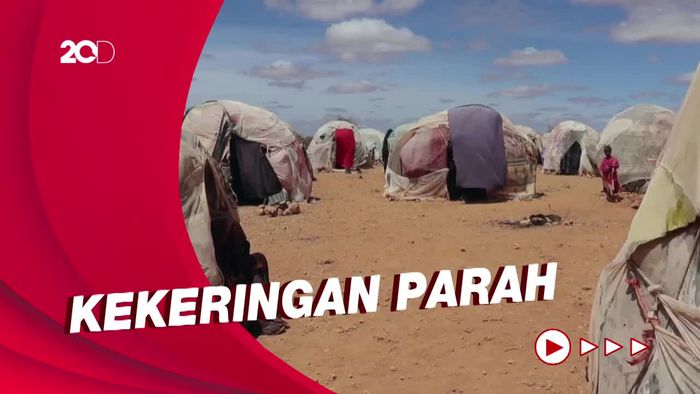 Imbas Perubahan Iklim, 20 Juta Orang di Afrika Terancam Kelaparan