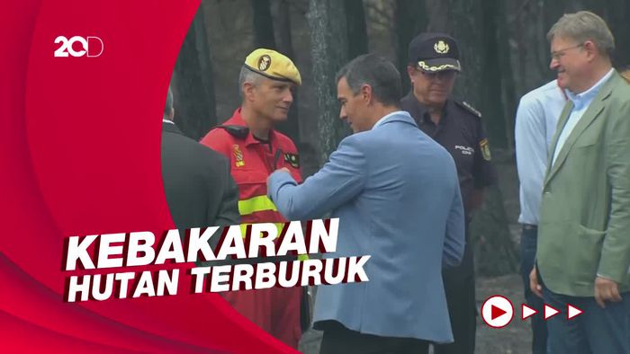 Kebakaran Hutan di Spanyol Capai 223.000 Hektar