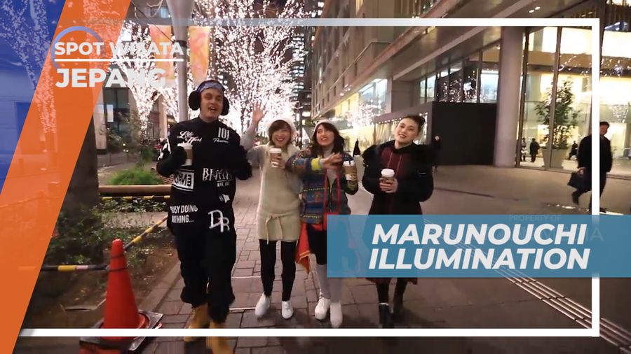 Cahaya Ribuan Lampu yang Indah di Chiodaku Tokyo, Jepang