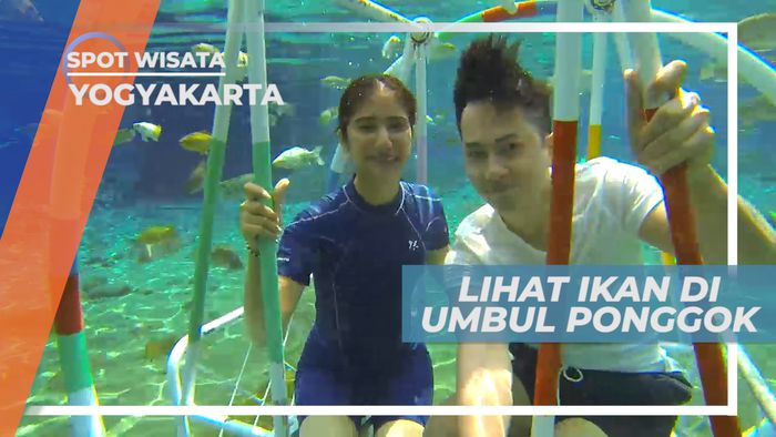 Berenang Bersama Para Ikan di Umbul Ponggok Klaten, Yogyakarta