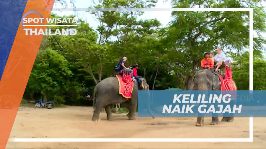 Serunya Berkeliling Naik Gajah di Taman Wisata Negeri Gajah Putih, Thailand