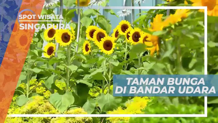 Taman Bunga, Spot Sejuk di Bandara Changi Singapura