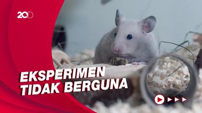 Daftar Eksperimen Aneh di Luar Angkasa