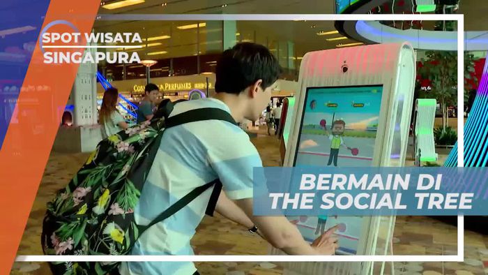 The Social Tree, Permainan Seru di Bandara Changi Singapura