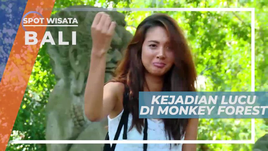 Tingkah Lucu dan Unik Monyet di Monkey Forest Bali