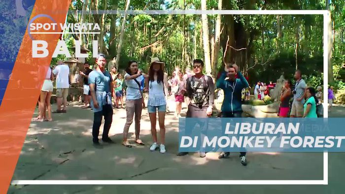 Berkunjung ke Monkey Forest Bali