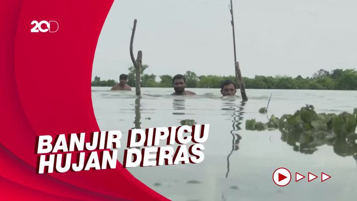 Ratusan Hektar Lahan Pertanian di India Terendam Banjir