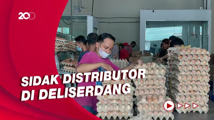 Harga Telur Meroket, KPPU Medan Sidak Distributor Telur