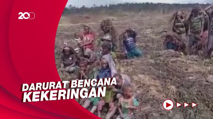 Cuaca Ekstrem di Lany Jaya Picu Gagal Panen, Bantuan Kemanusian Dikirimkan