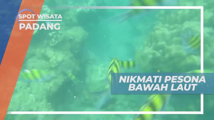 Snorkeling Menikmati Keindahan Bawah Laut Pulau Marak Sumatera Barat