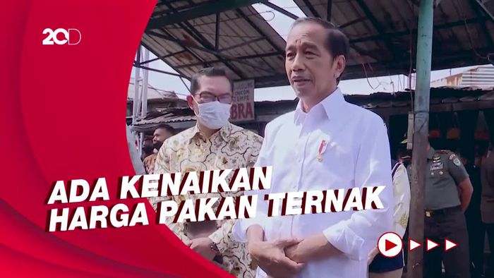 Jokowi Yakin Harga Telur Ayam Akan Turun Dua Pekan Lagi