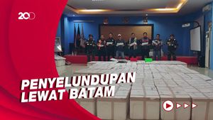 KKP Gagalkan Penyelundupan Benih Lobster Senilai Rp 30 M ke Singapura