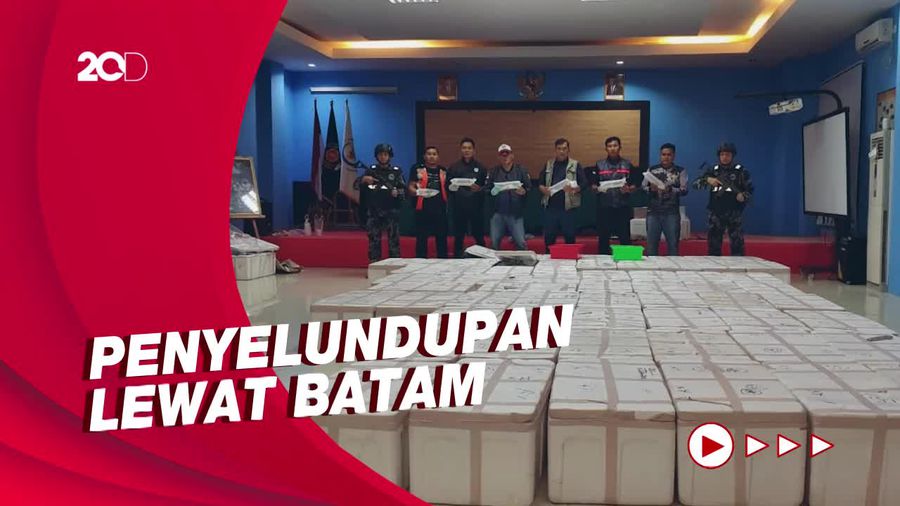KKP Gagalkan Penyelundupan Benih Lobster Senilai Rp 30 M ke Singapura