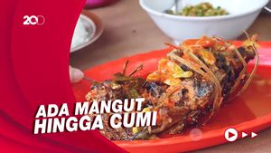 Bikin Laper: Makan Murah dan Kenyang di Rumah Makan Bu Ana Semarang