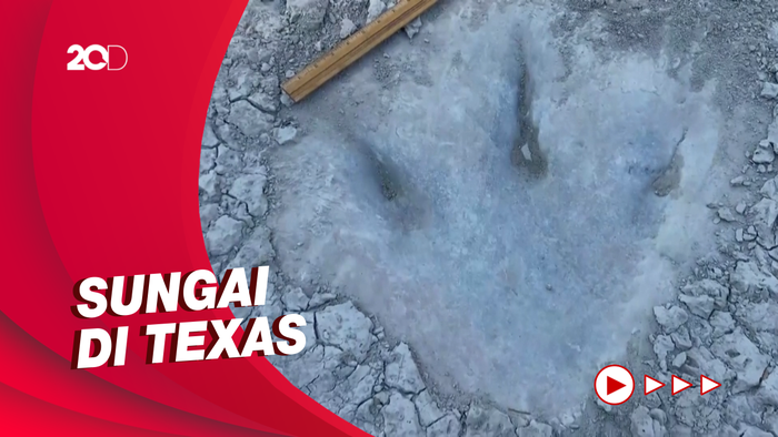 Jejak Dinosaurus 113 Juta Tahun Muncul di Sungai yang Mengering