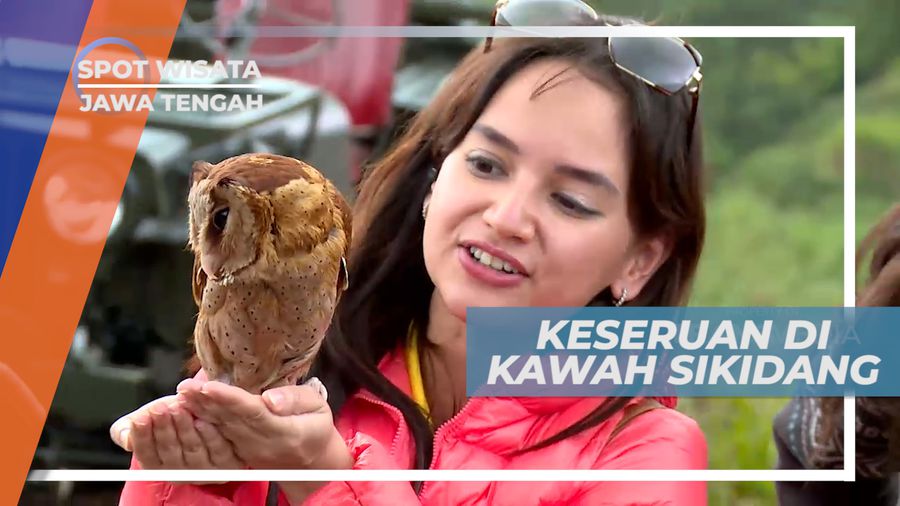 Berinteraksi Langsung dengan Burung Hantu yang Jinak dan Lucu, Semarang