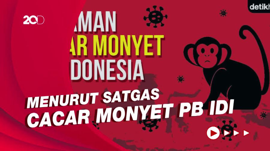 Tenang! Foto Cacar Monyet Tidak Seseram di Internet