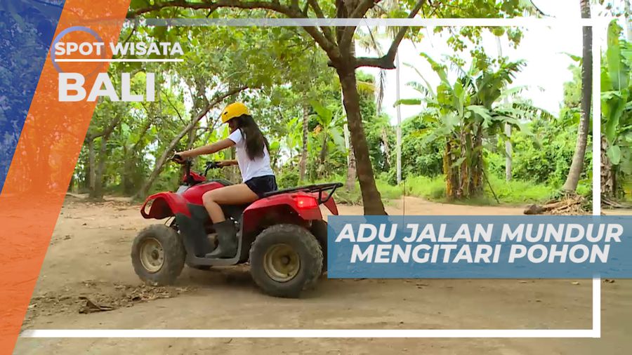 Adu Teknik Jalan Mundur Mengitari Pohon Dengan Naik ATV, Bali