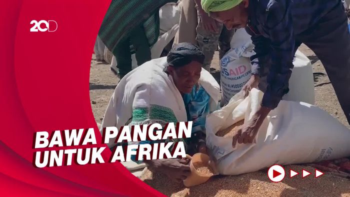 Gandum Ukraina Tiba, Atasi Sementara Krisis Pangan di Afrika