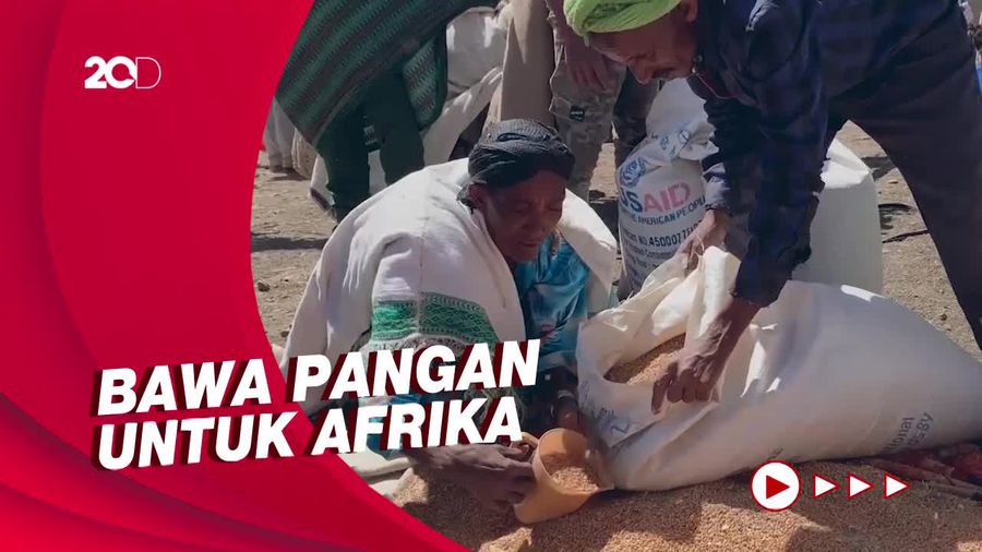 Gandum Ukraina Tiba, Atasi Sementara Krisis Pangan di Afrika