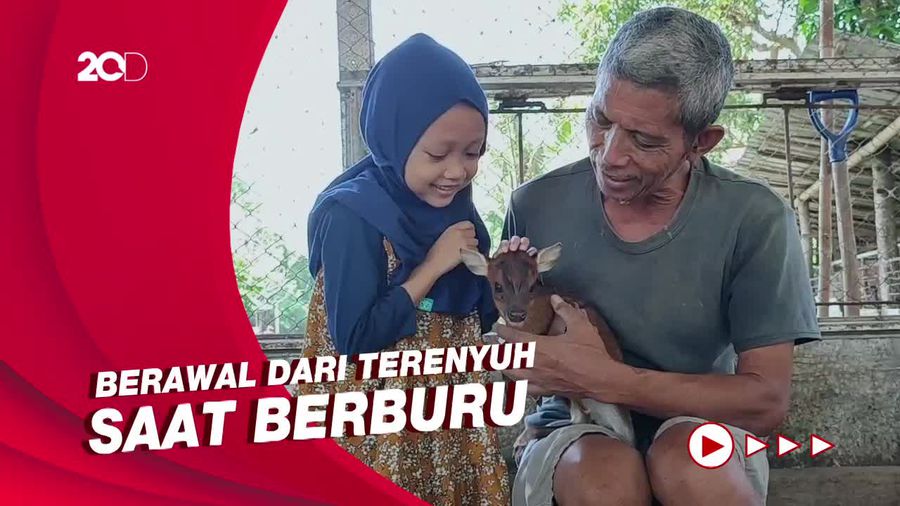 Cerita Pria di Ponorogo Kembang Biakkan 70 Kijang Jawa